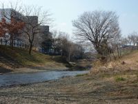 �y���c�`���͌��z����|�^�����O #2