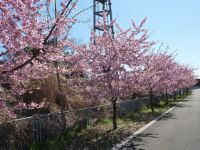 �y���c�`��a�z����|�^�����O #3