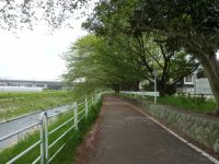 �y���c�`�Ó��z����|�^�����O #4