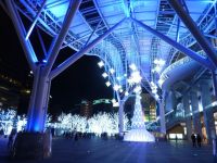 �y�����F�����z�����w