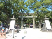 �y�����F�����z�Z�g�_�� #1