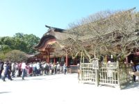 �y�����F���ɕ{�z���ɕ{�V���{ #1