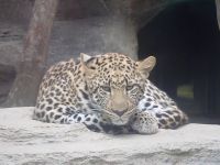 �y�����F�����z�����s���A���� #3