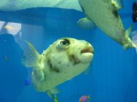 �y�����F�����z�}�������[���h�C�̒���