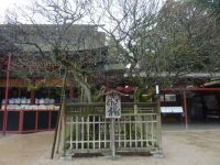 �y�����F���ɕ{�z���ɕ{�V���{ #2