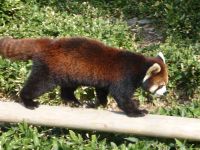 �y�����F�����z�����s���A���� #4