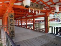 �y�L���F�{���z�����_��