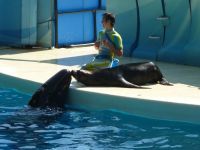 �y�_�ސ�F����z�V�]�m��������