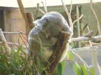 �y�����F����z������������