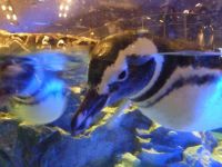 �y����z���݂�������